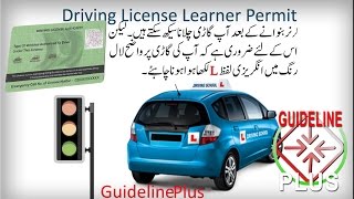 Driving license learner Form Learner permit Driving form fillup DLIMS PITB Traffic License لرنر پرمٹ [upl. by Gusti]