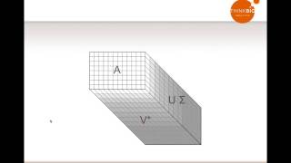 Demystifying Dimensionality Reduction [upl. by Grote]