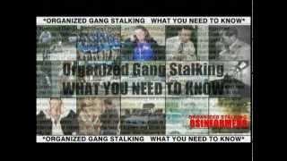 Organized Gang Stalking WHAT YOU NEED TO KNOW [upl. by Yup924]