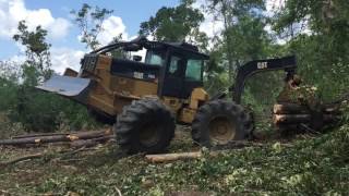 Cat 525 log skidder wheelie [upl. by Nakasuji]