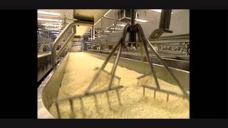 HOW ITS MADE  Mozzerella Cheese UK Version [upl. by Icats]