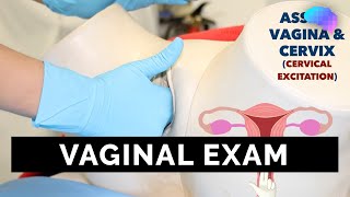 Vaginal Examination PV  OSCE Guide  UKMLA  CPSA [upl. by Ashti]