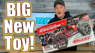 Freakin BIG RC Buggy Team Corally Asuga XLR [upl. by Honan892]