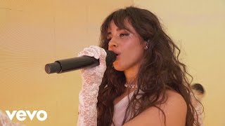 Camila Cabello  Living Proof Live from the 2019 AMAs [upl. by Eveivenej]