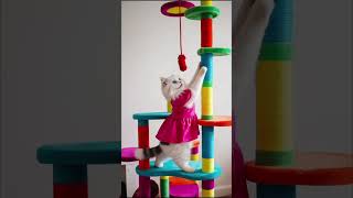 The Playful Adventure of Cats String Fun [upl. by Elatan]