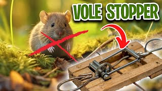 How to Trap Voles [upl. by Ligetti992]