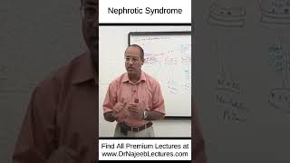 Nephrotic Syndrome shortvideo shorts drnajeeb drnajeeblectures [upl. by Ardien]