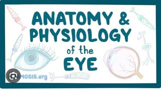 Eye anatomy Ophthalmology lectures eya anatomy part 01 optometry online class chapter 01 eye [upl. by Anaitsirc475]