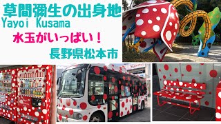 草間彌生の出身地 Birthplace of Yayoi Kusama 長野県 松本市 水玉がいっぱい 松本市美術館 [upl. by Eneles]