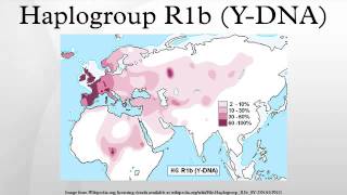 Haplogroup R1b YDNA [upl. by Salahi]