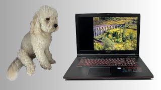 Wymiana matrycy w laptopie MSI GE72 Apache Pro  uszkodzona matryca zbity ekran 173quot  Serwis [upl. by Matthaeus]