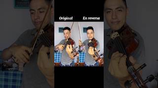 Estoy hablando Japonés😂🤣🎶 violin musica music humor cucaracha shorts trend musicos fyou [upl. by Astrix569]