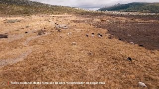 Este Natal ofereça Criatividade no Centro de Portugal [upl. by Fein]