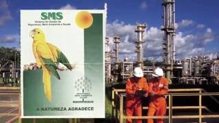 Memória Petrobras  Hoje tem História Ep5 Desafios Ambientais [upl. by Roana847]