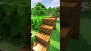 Minecraft Starter House🏠 Worlds Smallest Violin shorts [upl. by Anastatius]