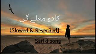 Mekyakadomilengikendikalmildeaa slowed amp Reverbed سرائیکی سانگ [upl. by Tabitha]