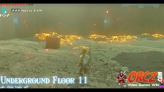 Breath of the Wild Trial of the Sword Final Trials Floor 11 Gameplay Walkthrough [upl. by Barbie731]