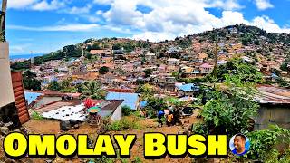 Welcome To OMOLAY BUSH COMMUNITY 🇸🇱 Vlog 2024  Explore With TripleA [upl. by Flannery]