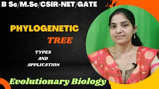 Phylogenetic Tree BSc 3rd yearTypesRooted And Unrootedevolution phylogeny [upl. by Huskey53]