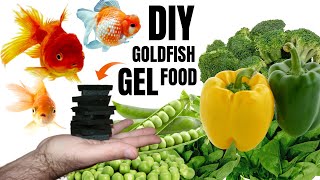 HOW TO DIY GOLDFISH GEL FOOD  Easy cheap and delicious [upl. by Ellessig]