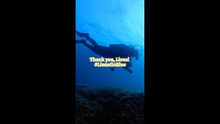 LionsGoBlue in the Philippines  Underwater Coral Reef Restoration [upl. by Medora835]