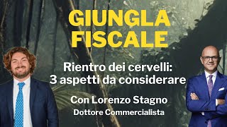 Rientro dei cervelli 3 aspetti da considerare nel 2024  Giungla Fiscale  Ep n 18 con L Stagno [upl. by Erreipnaej]