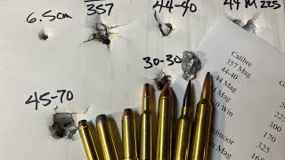 357 mag vs 4440 vs 44 mag vs 3030 vs 4570 vs 65 creedmoor vs 7mm Rem Mag  Deep Penetration Test [upl. by Monafo]