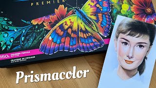 Prismacolor Premier Colored Pencils 150 Set  UnboxingSwatches Drawing [upl. by Rube262]