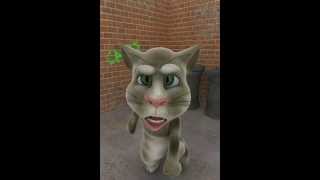 Jack and Rexella Van Impes Pet Cat Missing [upl. by Maia]