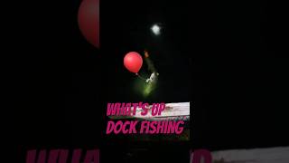 Night Fishing For Flathead Catfish catfish [upl. by Fleurette899]