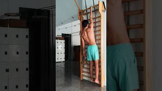 Scapulae Back Workout scapularpain backworkout climbers bouldering calisthenics pullupsshorts [upl. by Falcone228]