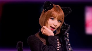 【MV】GARNiDELiA「猫の城」 [upl. by Castor124]