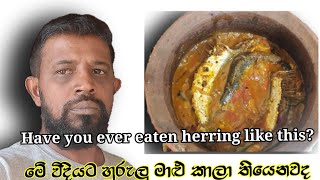 මේ විදියට හුරුලු මාළු කාලා තියෙනවදHave you ever eaten herring like this cookingchannel [upl. by Nadabus]