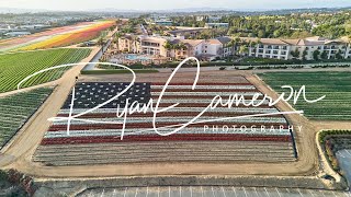 4K Hyperlapse Carlsbad Flower Field US Flag [upl. by Aved]