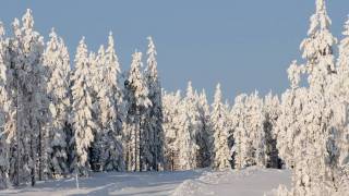 Ljungåsen Grängesberg [upl. by Ellednahs75]