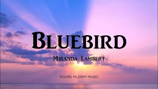 Miranda Lambert  Bluebird Lyrics  Wildcard 2019 [upl. by Yrak251]