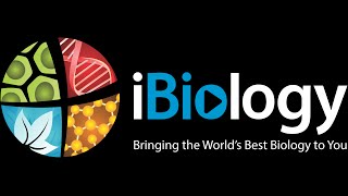 iBiology [upl. by Fidel]