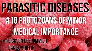 Parasitic Diseases Lectures 18 Protozoans of Minor Medical Importance [upl. by Lahsiv865]