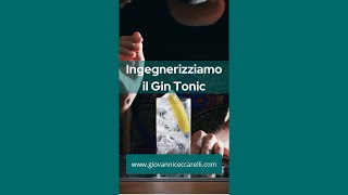 Ingegnerizziamo il Gin Tonic  Cocktail Engineering [upl. by Eilesor357]