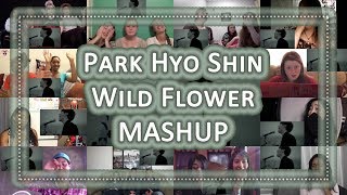 박효신 Park Hyo Shin quot야생화 Wild Flowerquot reaction MASHUP 해외반응 모음 [upl. by Priscilla455]