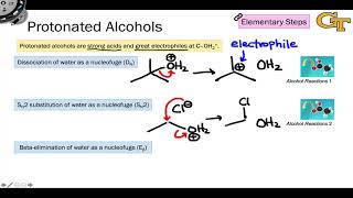 0207 Reactivity of Protonated Alcohols [upl. by Skipp]