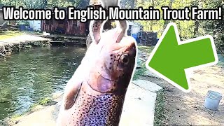 I CAUGHT my FIRST Rainbow Trout at the English Mountain Trout Farm Is It Worth the PRICE [upl. by Selwyn]