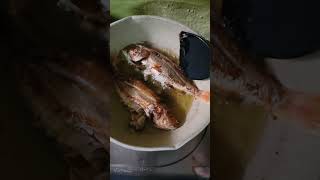 Frying bisugo shortvideo asmr cooking nhitztv [upl. by Ailito67]