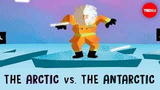 The Arctic vs the Antarctic  Camille Seaman [upl. by Nyrehtak231]