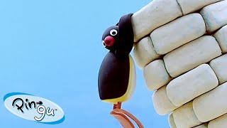 Pingu Builds a Tower 🐧  Pingu  Official Channel  Cartoons For Kids [upl. by Mahoney]