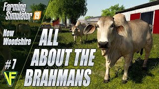 All About The Brahmans  New Woodshire 7  FS19 Roleplay [upl. by Hsirrap368]