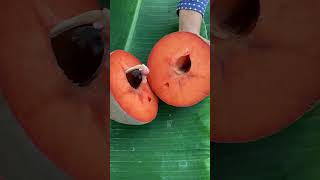 SAWO RAKSASA Mamey sapote [upl. by Aliban]