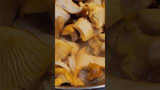 Cooking Chanterelle mushroom Subscribe for more [upl. by Marigolde]