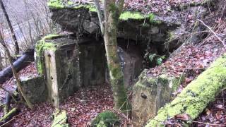 Vergessene Orte  Westwall  Siegfried Line  Hitler  Bunker 0844  lost places germany [upl. by Kaitlyn]