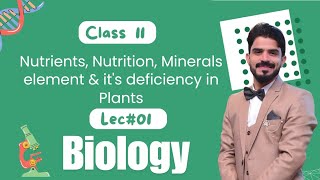 Nutrients Nutrition Minerals element amp its deficiency in Plants  Chapter 12  Biology Class 11 [upl. by Barrington412]